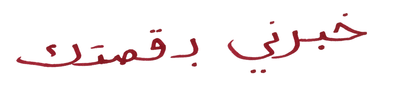 TheirStory; Chance-Berlin gGmbH; Diversity;