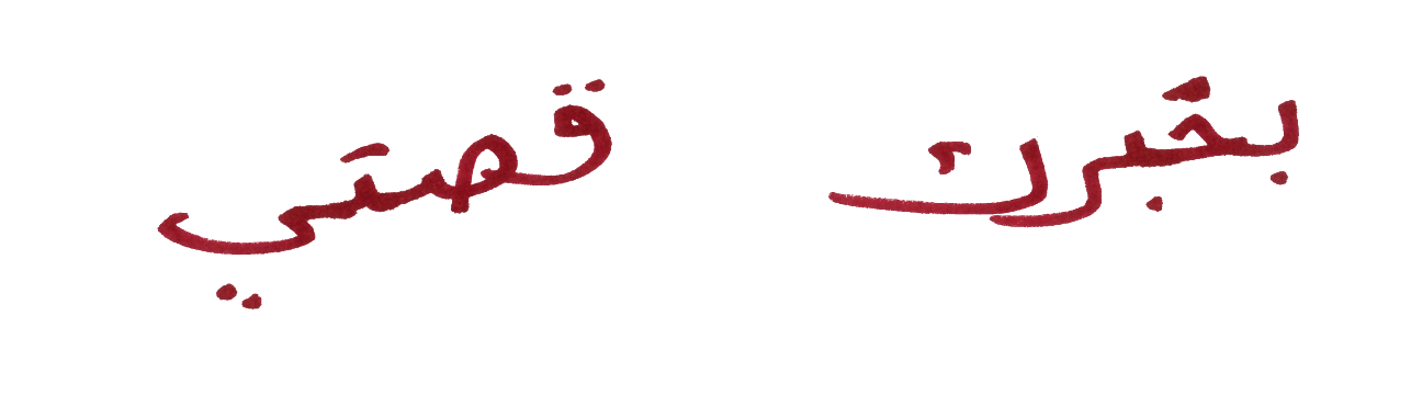 TheirStory; Chance-Berlin gGmbH; Diversity;