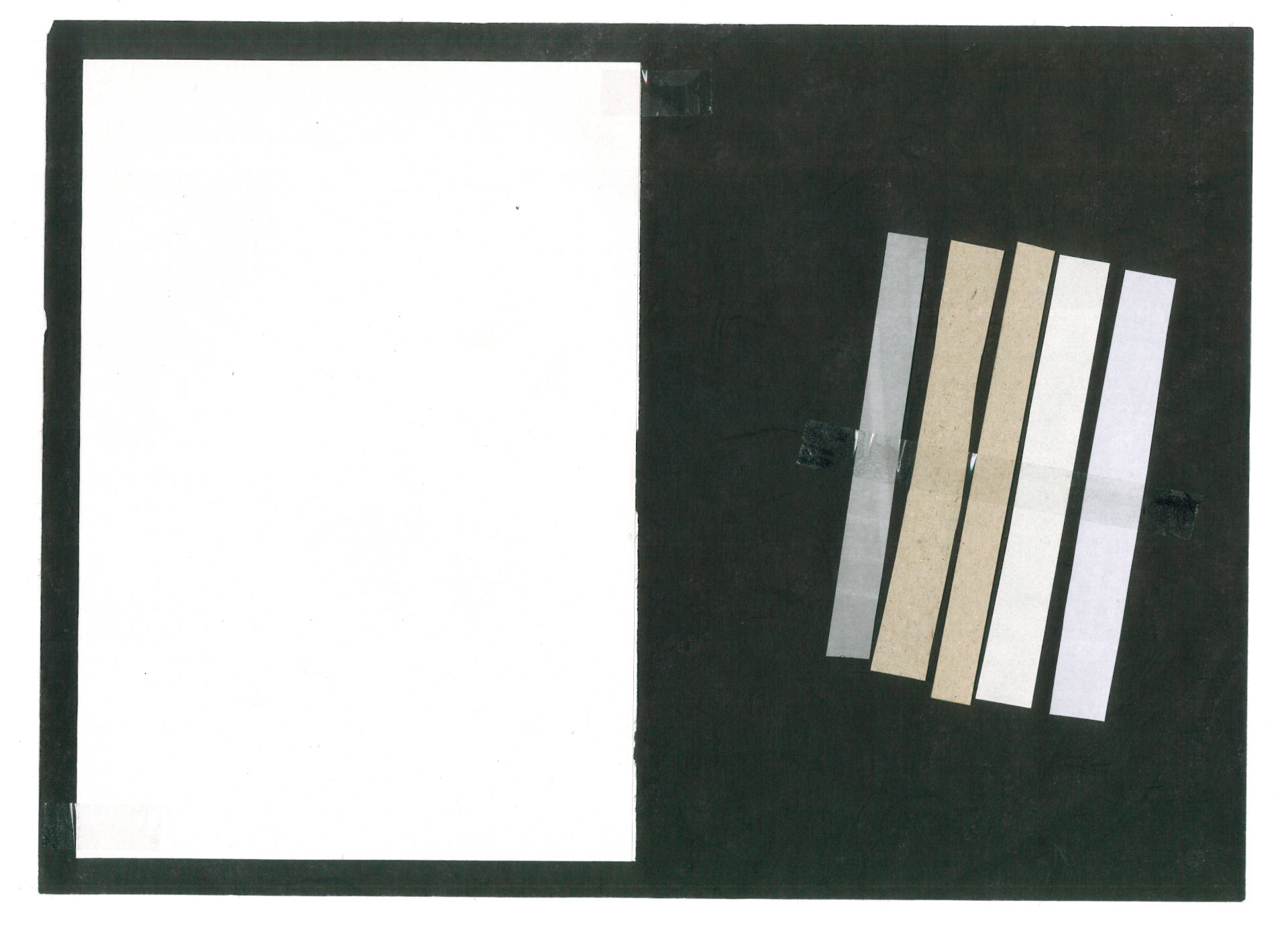 TheirStory; Chance-Berlin gGmbH; Diversity;