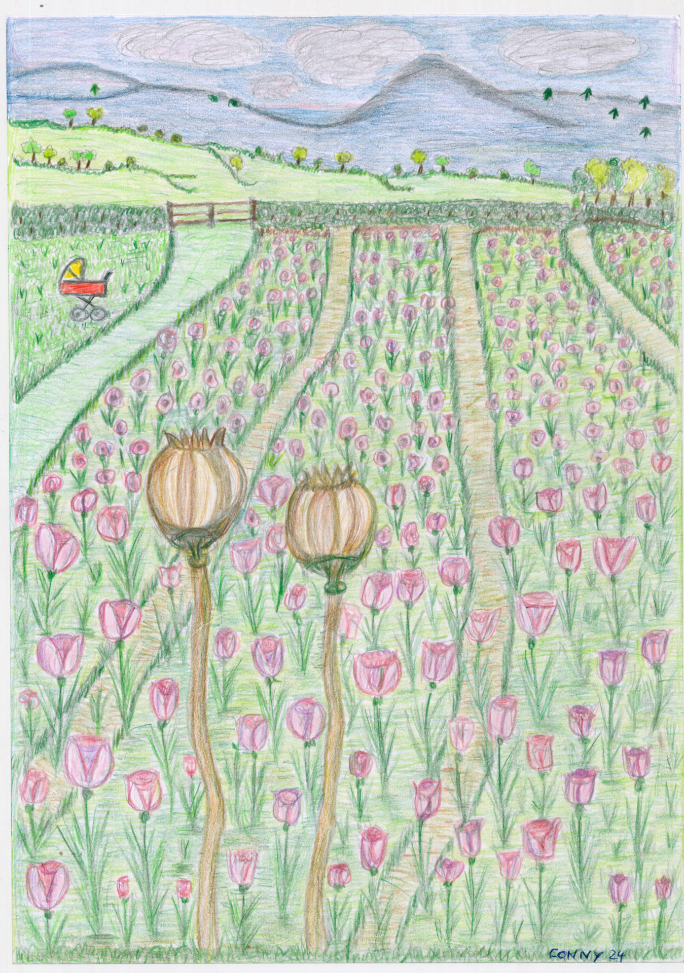 TheirStory; Chance-Berlin gGmbH; Diversity;